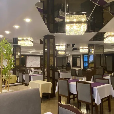 Hotel Alfin